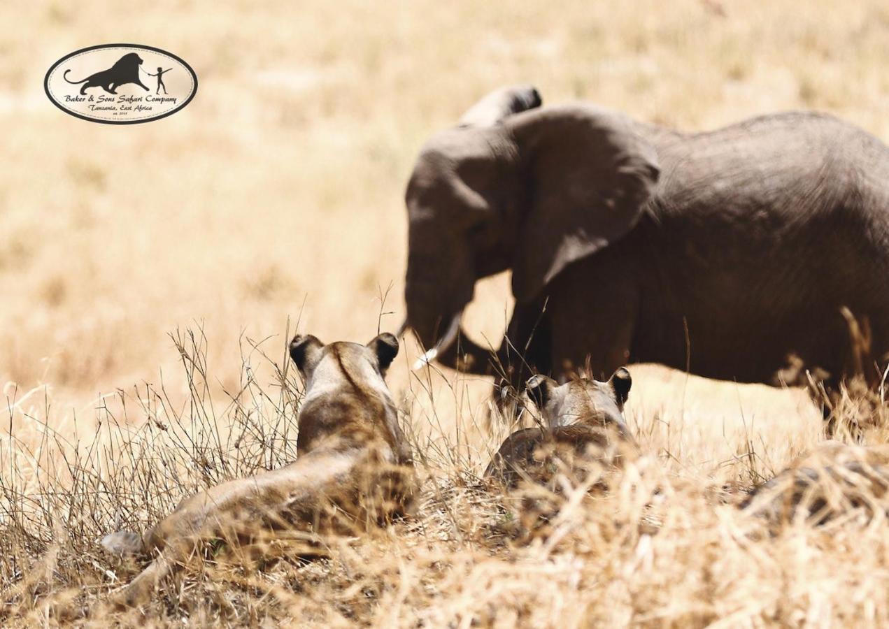Willa Baker Safari Company Kwangwazi Zewnętrze zdjęcie