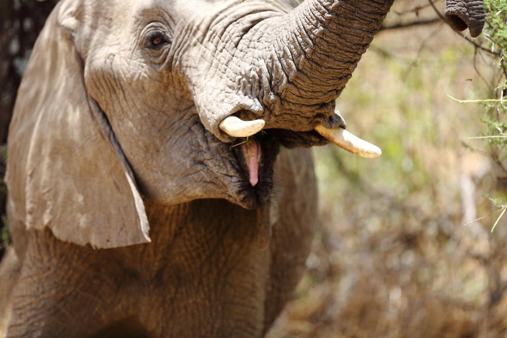 Willa Baker Safari Company Kwangwazi Zewnętrze zdjęcie
