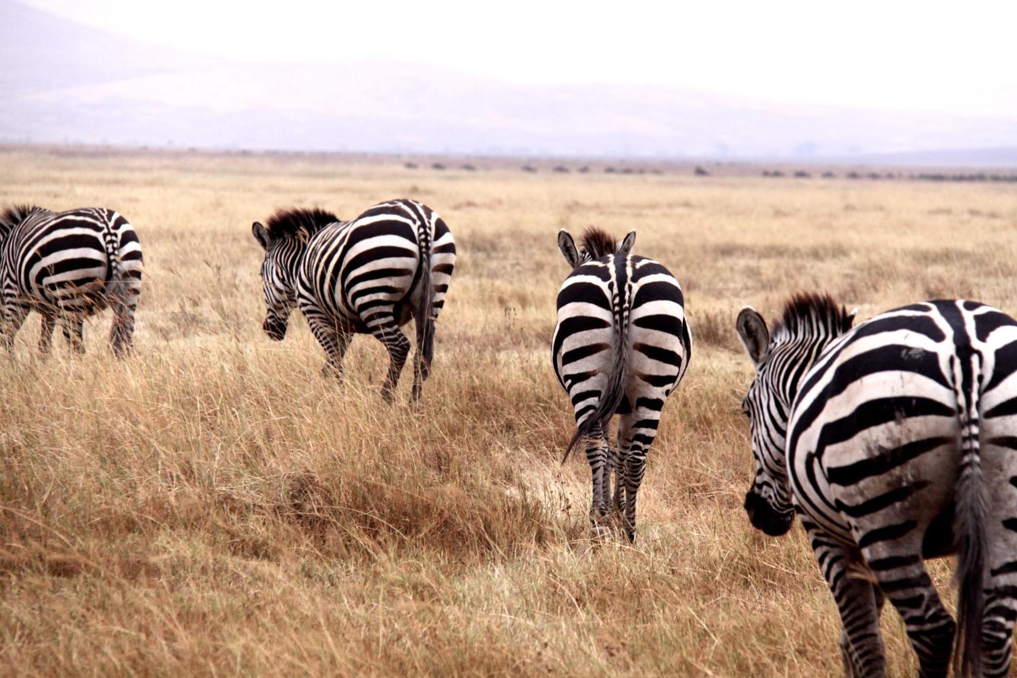 Willa Baker Safari Company Kwangwazi Zewnętrze zdjęcie